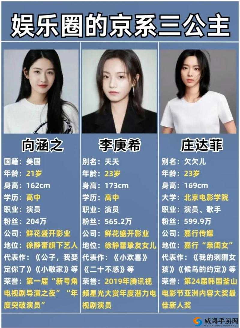 国产一线二线三线女：揭秘她们在娱乐圈的成长与发展