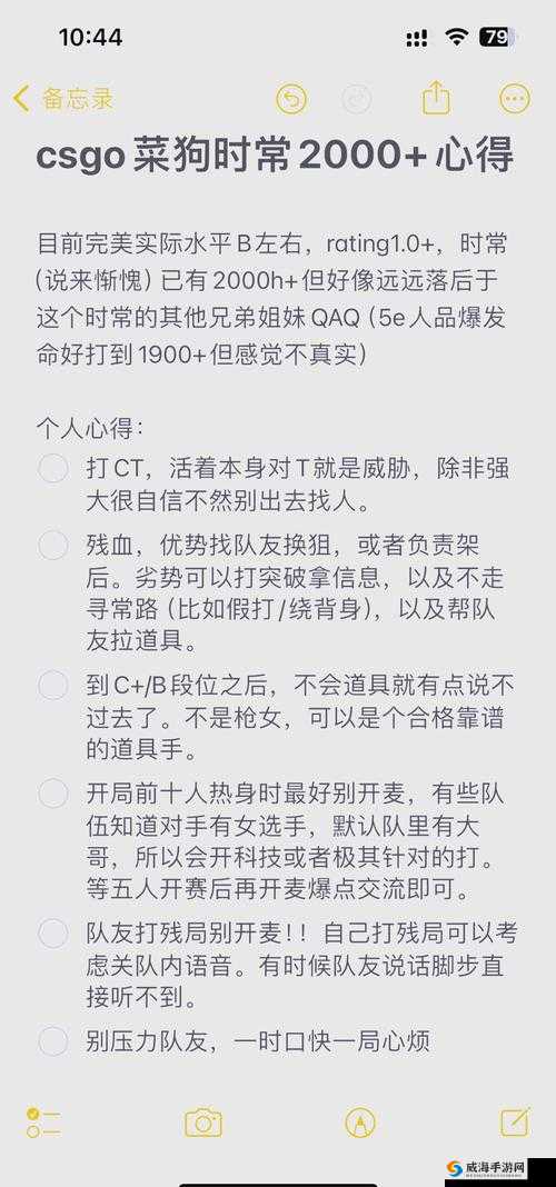 暴躁老姐的 CSGO 心得分享夫妻：携手征战沙场的独特体验