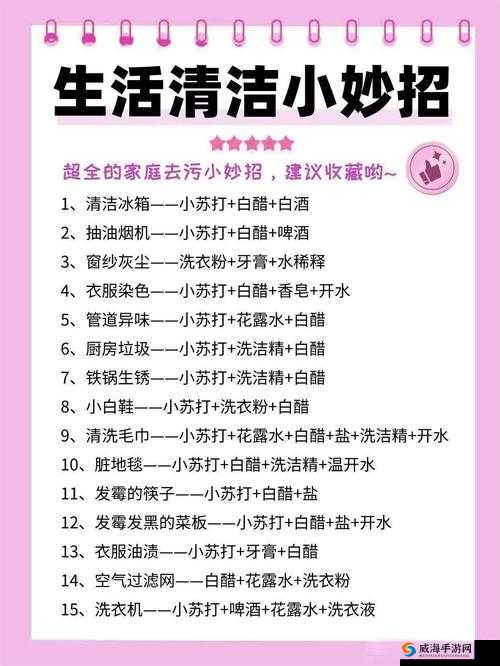 厨房到卧室清洁小妙招：全方位清洁打造舒适家居环境