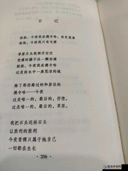 JIANYING 日记小说：一场隐秘的心灵之旅