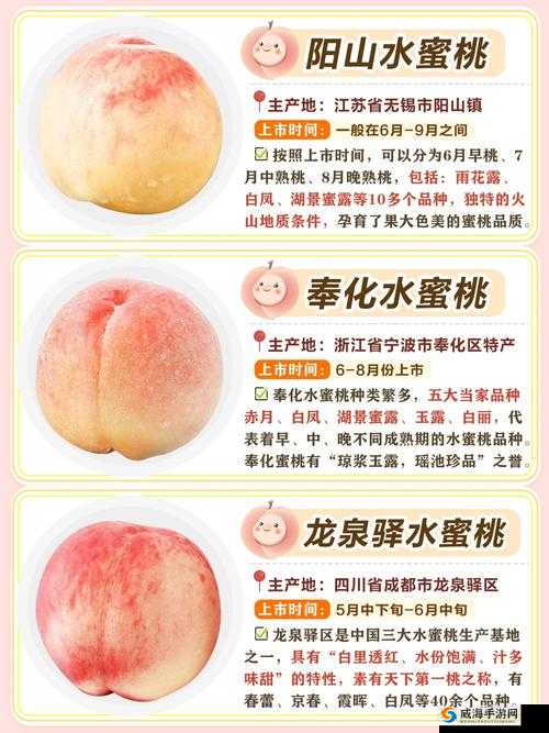 国产水蜜桃：口感鲜美甜蜜多汁营养丰富深受人们喜爱