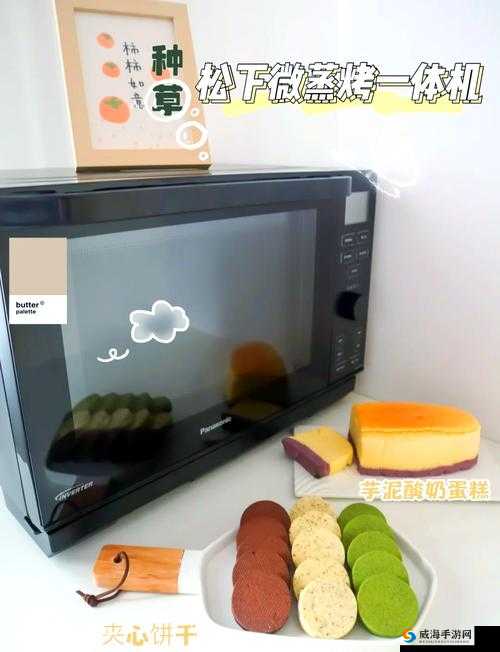 双胞胎一前 一后夹心饼干双子全攻略：实用指南与技巧分享