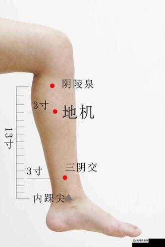 女人小穴 p：探索女性私密部位的奥秘