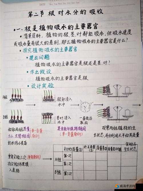 关于 caoporm 的相关探讨与分析