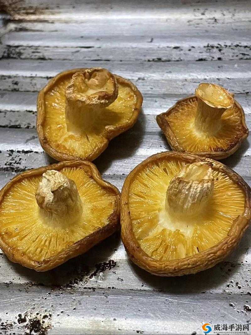 9612 黄桃亚洲品质蘑菇：独特风味的美味之选