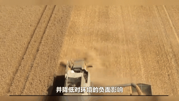 成熟 50-wx 老狼大豆行情非常大气免费提供资源：最新大豆市场动态与趋势分析