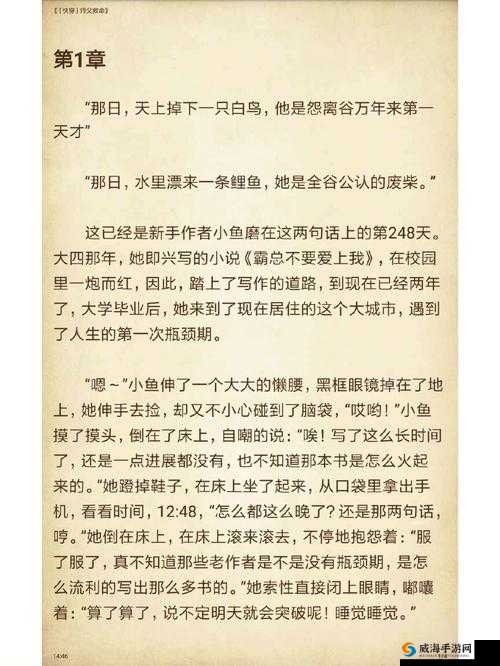宝贝看清楚我是怎么爱你的小说：一段刻骨铭心的深情之旅