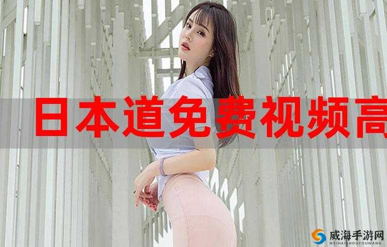 日本高清 WWW 色视频网站：精彩内容不容错过