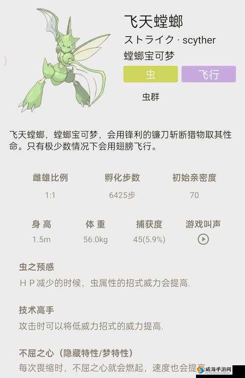 宝可梦探险寻宝，飞天螳螂的魅力与召唤配方
