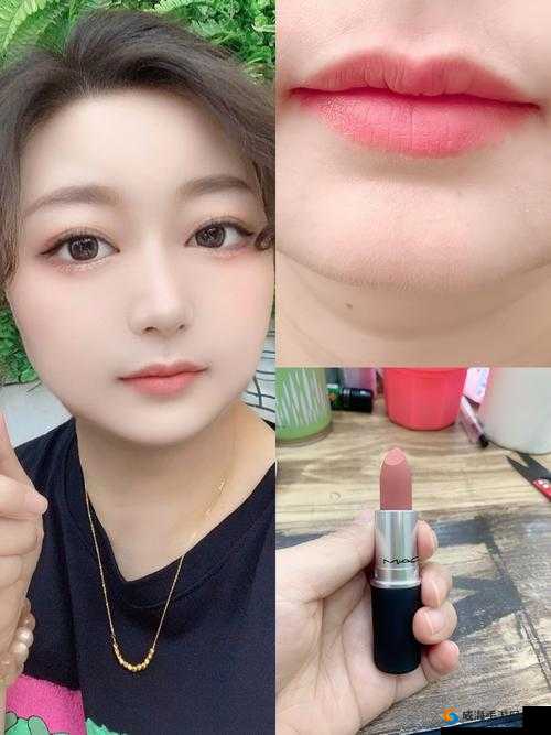 MAC 水蜜桃色 314 ：打造清新甜美妆容必备之选