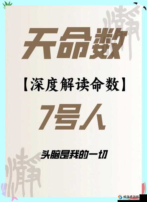 7X7X7X7X7X7X:探索未知数字组合的神秘力量