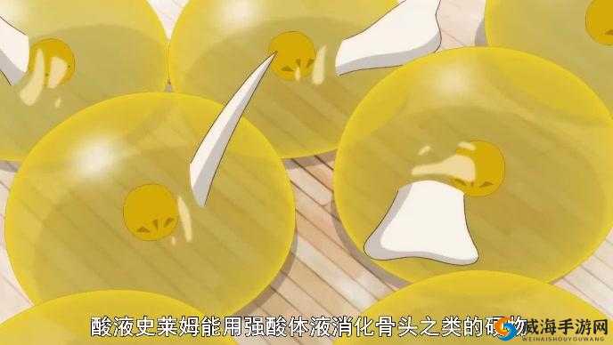 史莱姆王体液的神奇奥秘与独特用途探索
