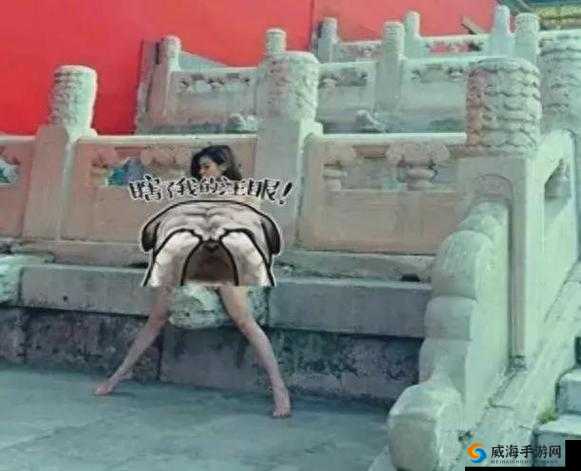ass 北京裸体女人 Mp4：探究隐私泄露背后的真相