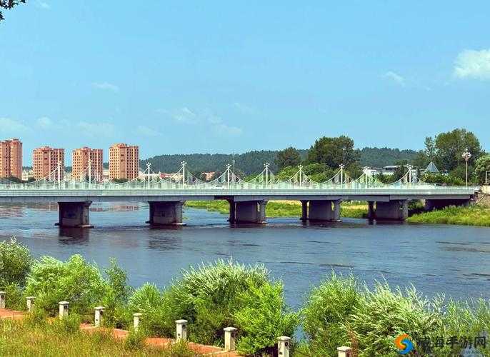 伊春园 2024 入口直达：探寻神秘花园的便捷通道