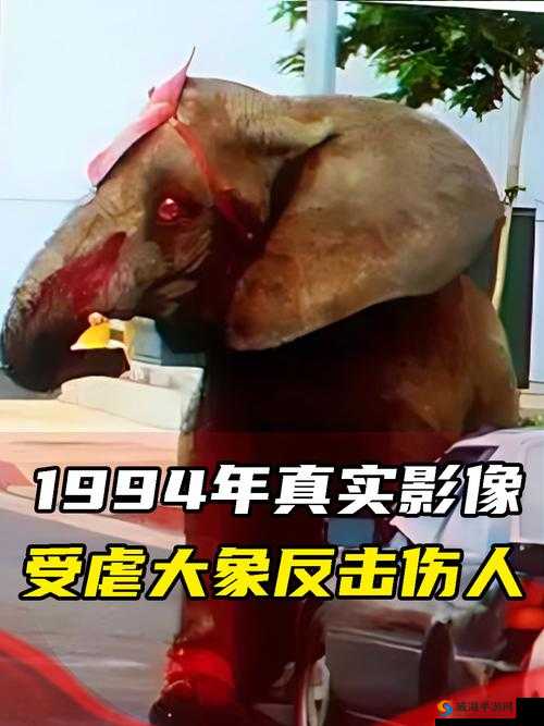 大象大象视频www 在线观看被爆即将上市与芒果视频分开引发行业震动及未来走向探讨