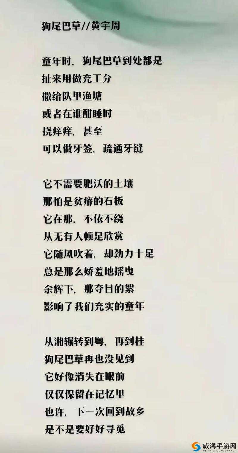 小尾巴 txt 金银花原文：你是我心中的棉花糖，甜蜜的梦想，彼此牵起的双手，谁都不要放