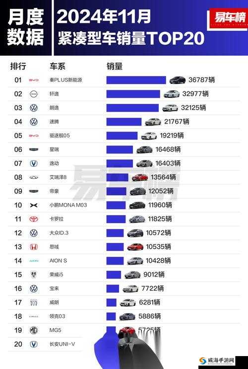 497799 欧洲版的国产 SUV 成为 168 巨大阻碍猜测：是阻碍还是机遇？