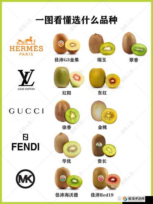 香蕉樱桃水蜜桃猕猴桃菠萝的缤纷水果盛宴
