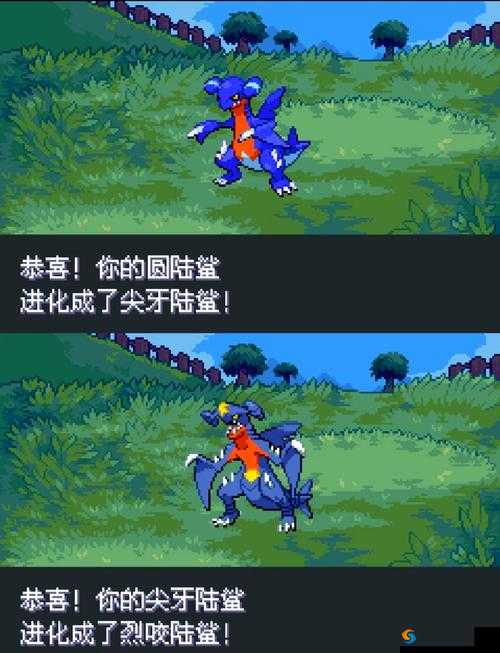 揭秘魔力宝贝，黑暗鸟人奇遇，对话三次的奇妙之旅