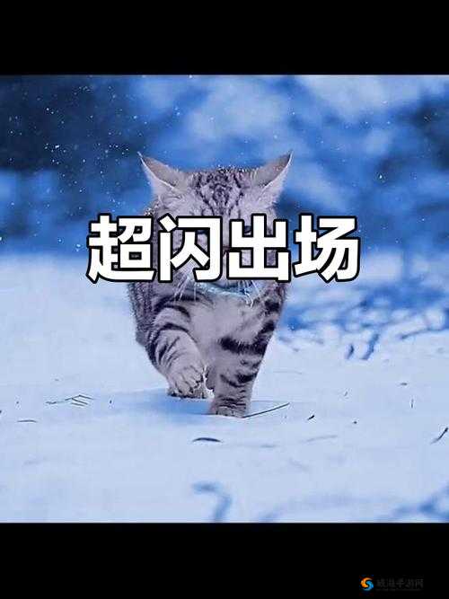 饿了吗本王霸气登场，这就喂饱你啦