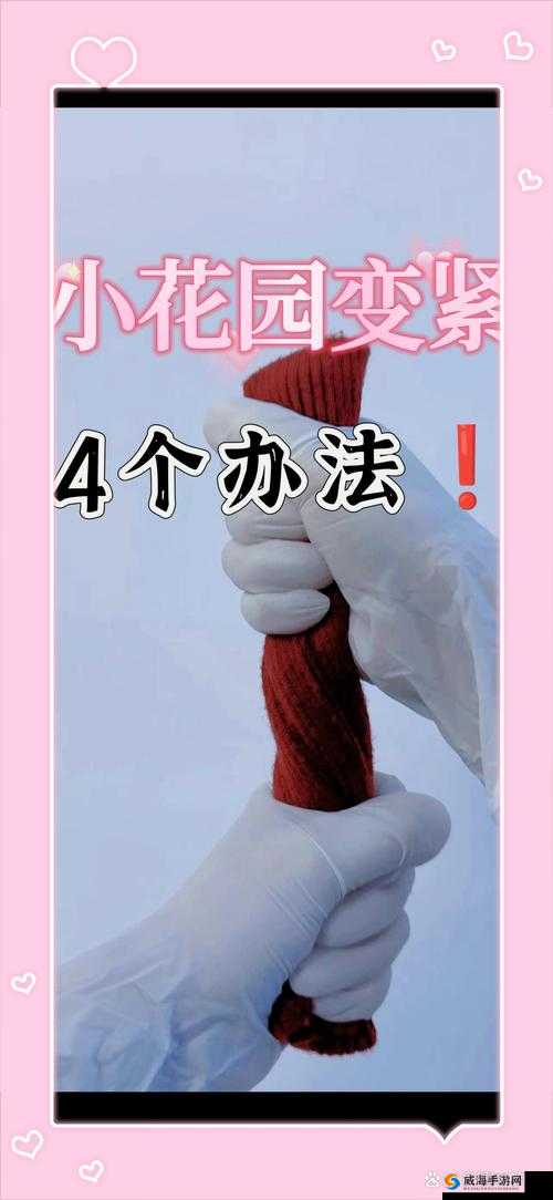 探索如何亲密接触小花园的技巧：揭晓 10 个实用方法