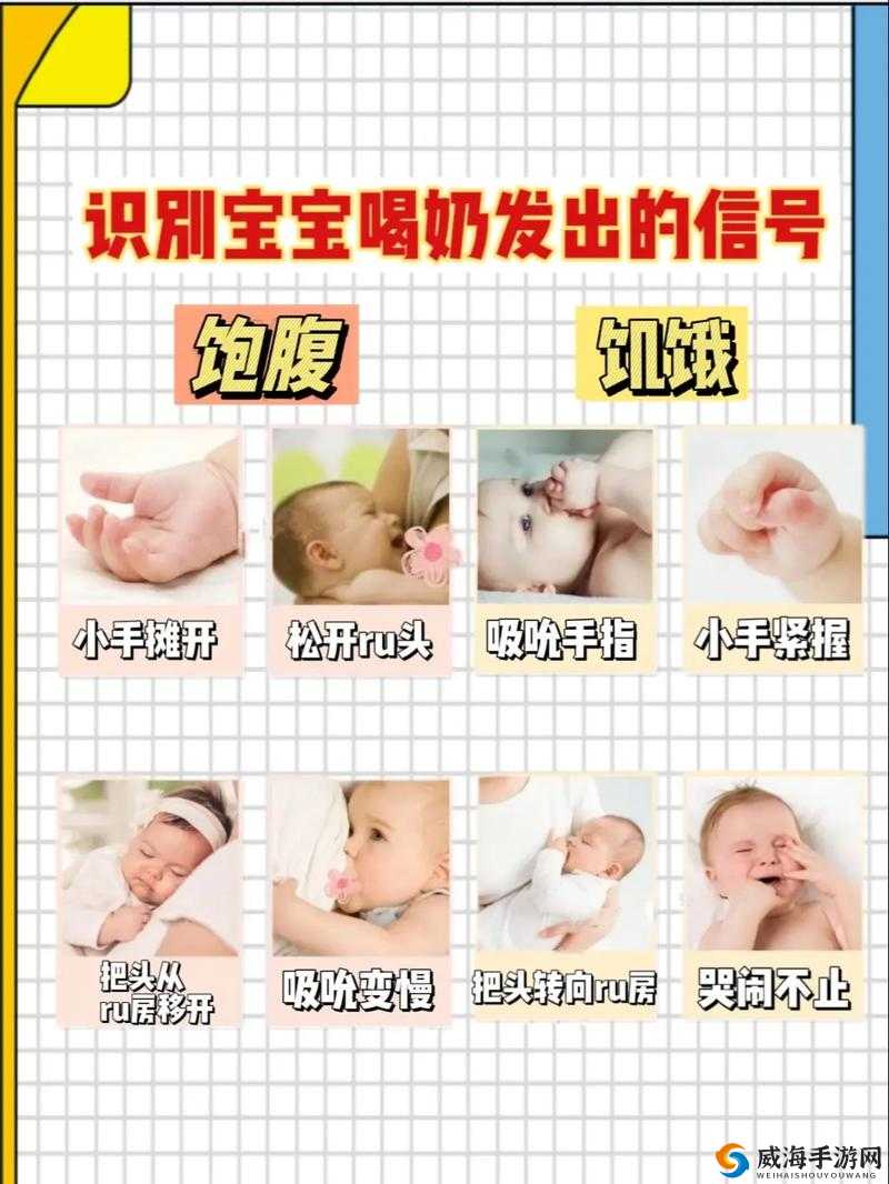 如何让你一晚上都吃饱：探讨喂养的技巧和方法