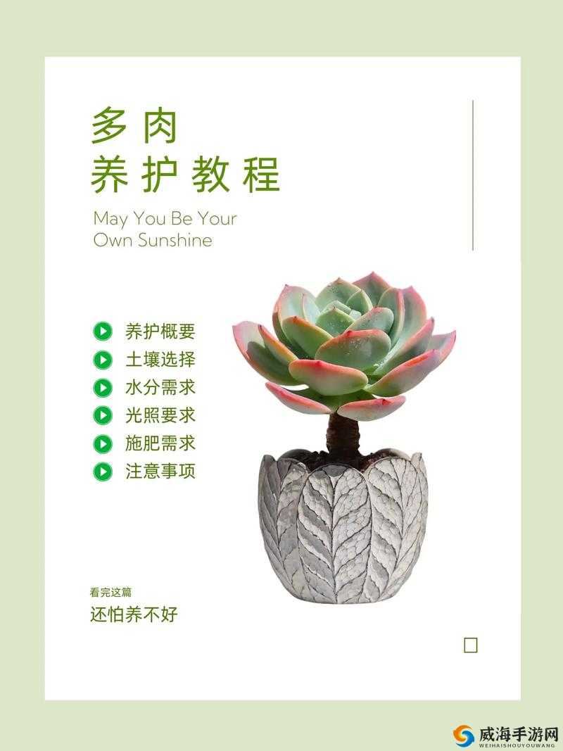 皇家共享小公主多肉养护技巧：让你的多肉植物绽放美丽光彩