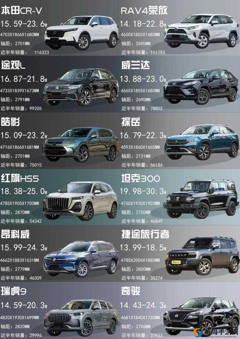 497799 欧洲版的国产 SUV 有什么特点以及其与其他车型的区别