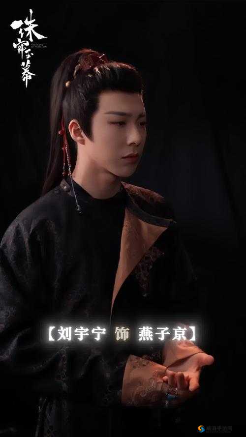 群臣共享的传奇公主银羽之风云变幻