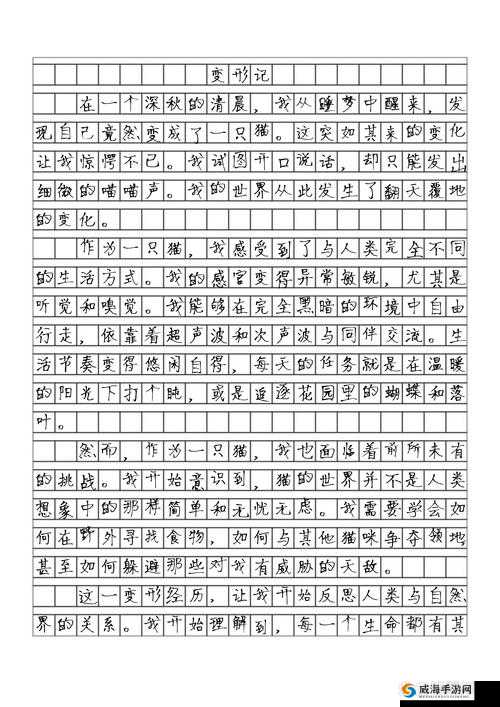 ラビットホール兔子洞歌词：探寻奇幻世界的心灵之旅