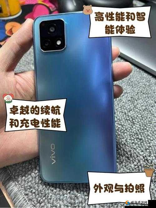 一级成色好的 Y31S 标准版评测：最近为何如此火爆？