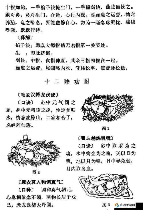 终极解谜宝典：解谜秘籍大揭秘