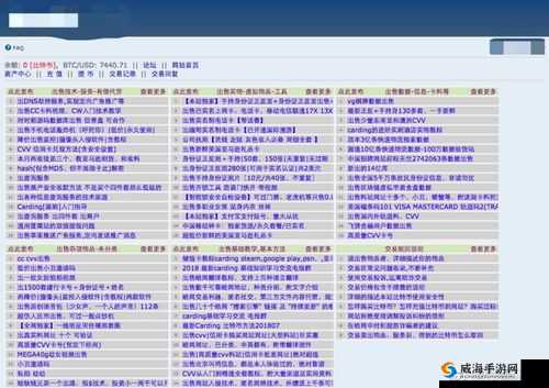 成品网站源码 1288 隐藏通道相关内容及探讨