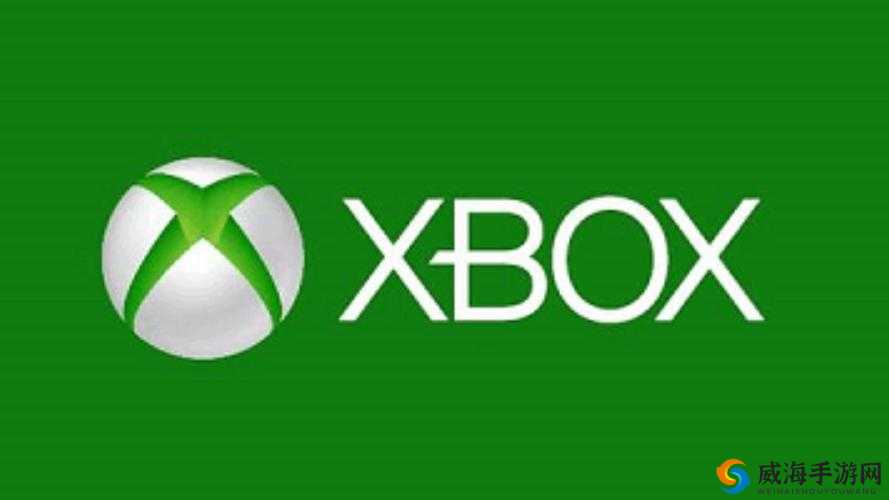 如何选择最新的 Xbox 高清视频线：你需要知道的一切