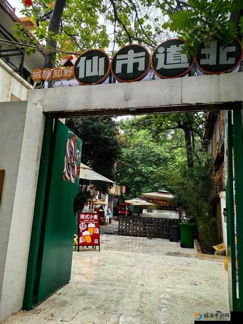 豆浆情缘：男女共力制浆，温馨场景下的别样风情