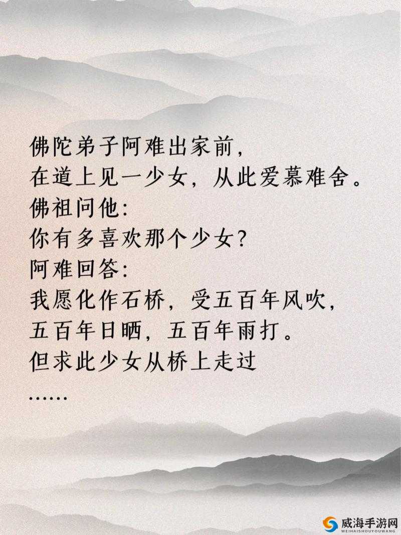 尼姑师太：红尘之外，亦有真情与快乐