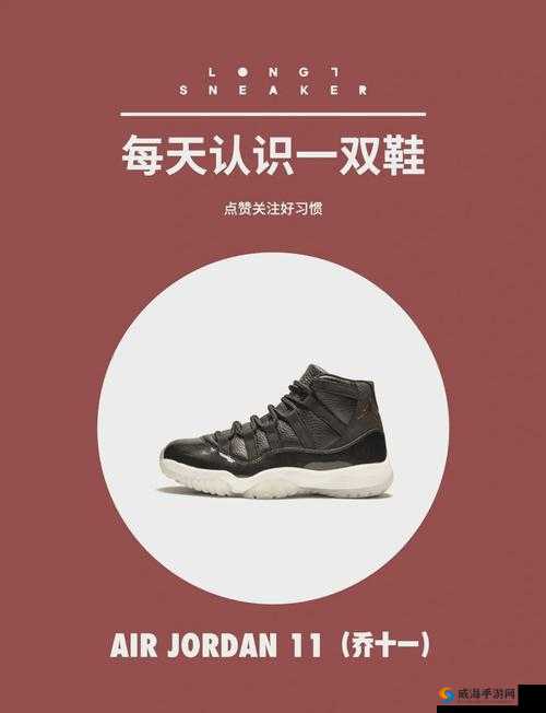 宿舍中那独具特色的 AJ11 飞机：别样的青春记忆与独特体验