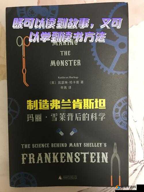 干过的最小的年龄多大-探寻这背后的故事与意义