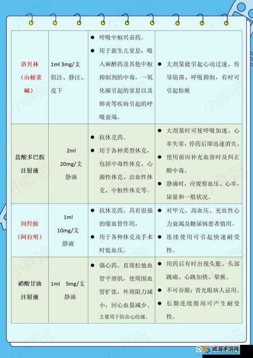 药效 1V2HPO 全新功效解析及临床应用探索