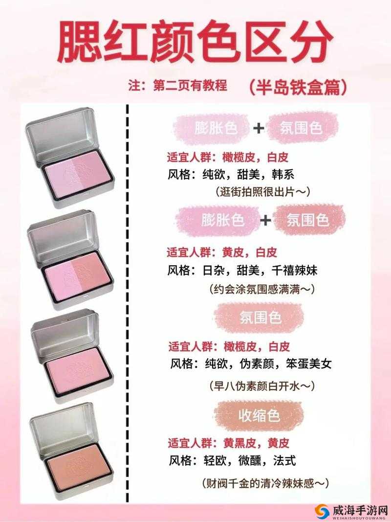 美妆知识分享之各类美妆技巧与产品推荐及使用心得