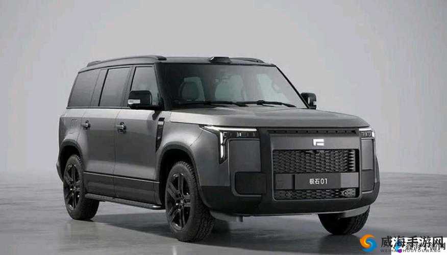 497799 欧洲版国产 SUV ：坐起来超舒服的车迷之选