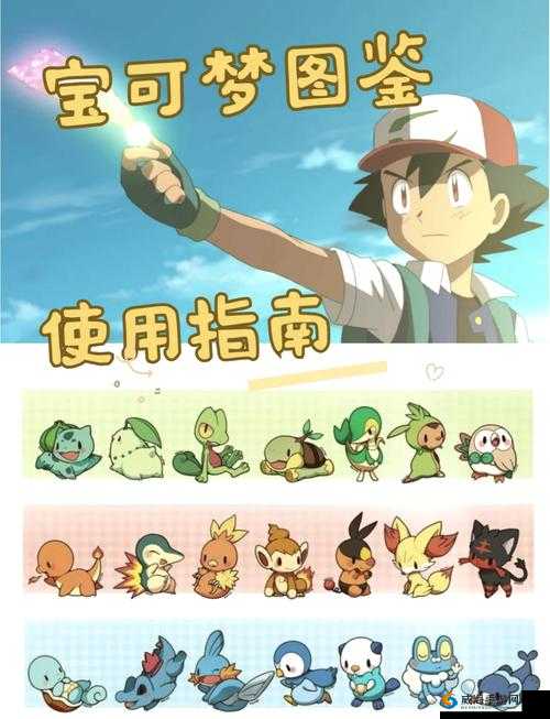 宝可梦探险寻宝超梦打法攻略，推荐带吸血在资源管理中的重要性及策略