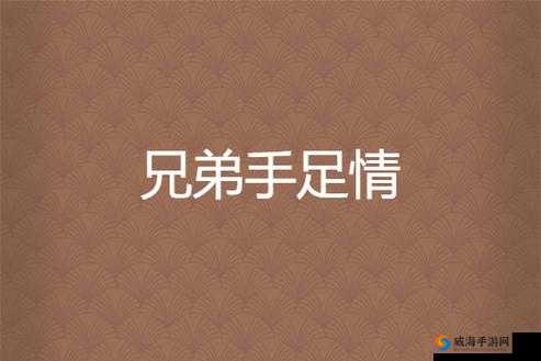 一前一后 3ph 兄弟默契：超越血缘的手足情