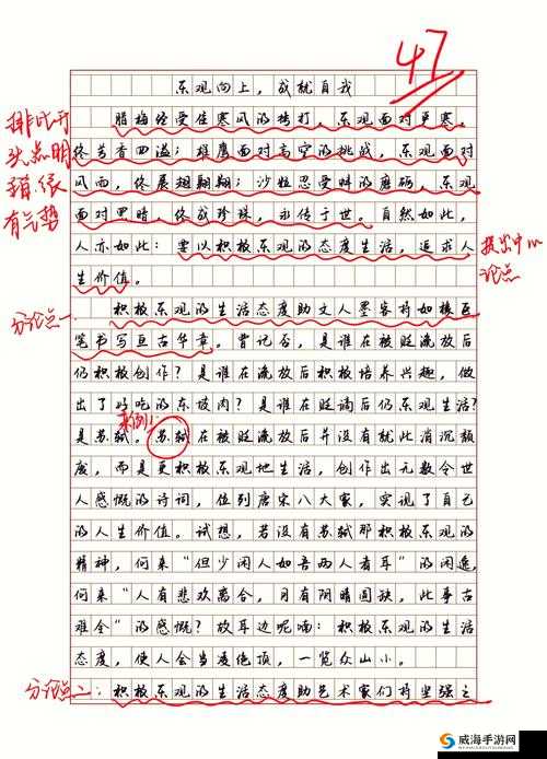 关于做缓描写的细腻描写之深度剖析与全面解读