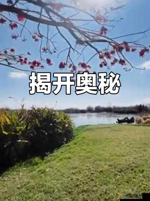 国精一二二产品无人区:探索未知的神秘领域