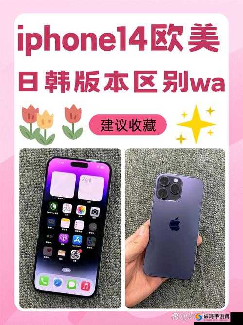iPhone 14 欧美日韩版本特色与差异解析