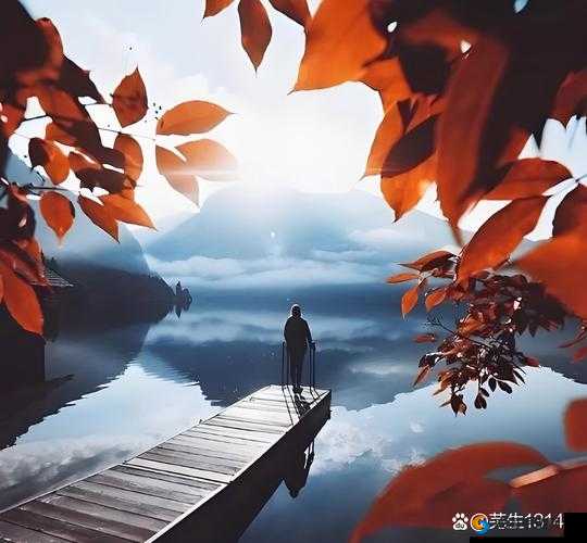 丰裕纵满 2588：关于其内涵与意义的深入探讨