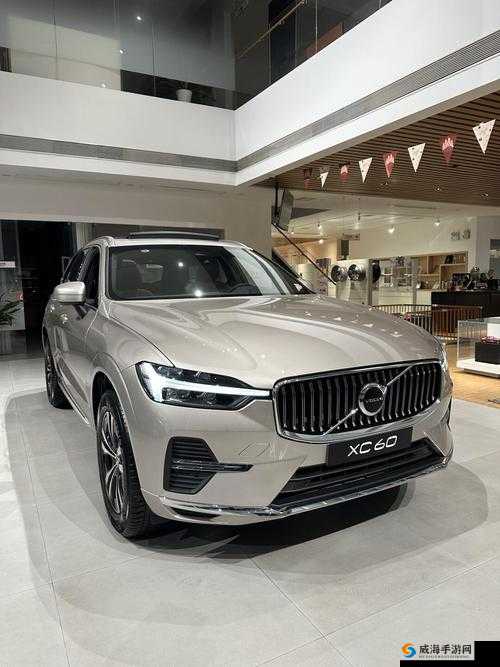 497799 欧洲版的国产 SUV：一款极具魅力的高品质汽车