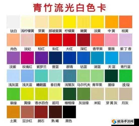 请欣赏一本大道色卡 1 卡 2 卡 3：色彩与诱惑的交织