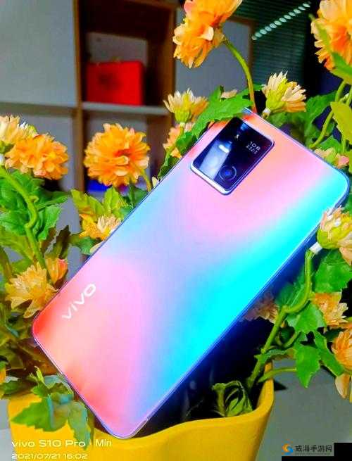 VIVO S10 娇小粉嫩：灵动之美尽显